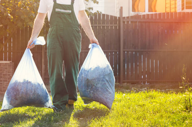 Best Junk Hauling Services  in Kingston, IL